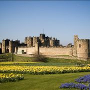 Alnwick Castle 2009